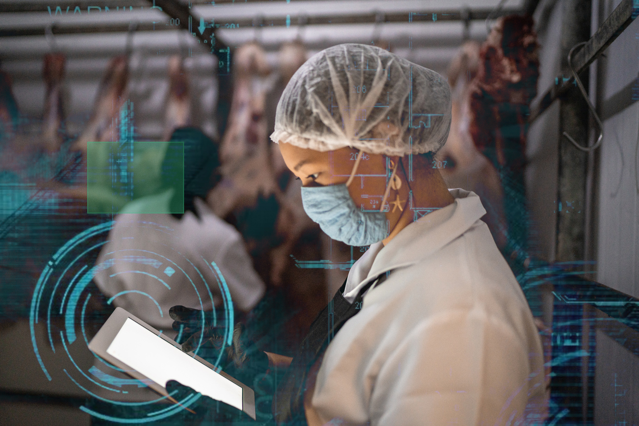 Factory image - beef processing